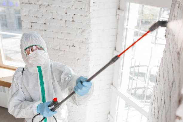 Colorado City, AZ Mold Inspection, Removal & Remediation Company